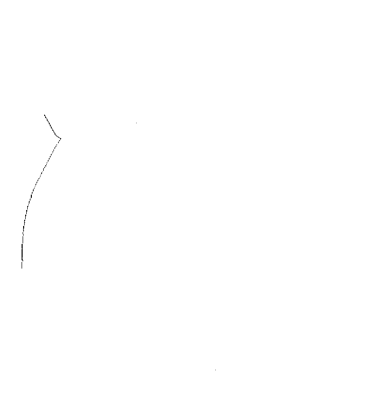 Ali Alaoui - Arts & Développement